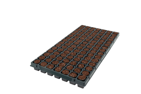 105CT OASIS® Fertiss® PlugTray FL Pallet (30X40mm) 320/PLT (33600)