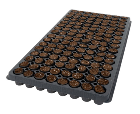 128CT OASIS® Fertiss® PlugTray FL Pallet (25X30mm) 304/PLT (38912)