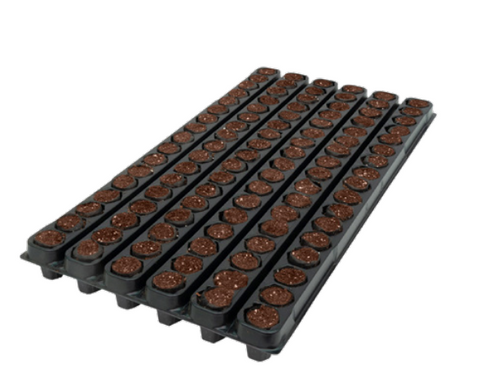 17X6CT OASIS® Fertiss® PlugTray (25x40mm) 384/PLT (39168)