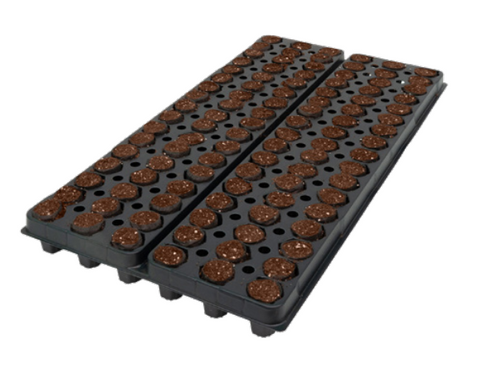 51X2CT OASIS® Fertiss® PlugTray (25X40mm) 384/PLT (39168)