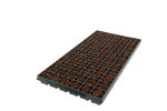 72CT OASIS® Fertiss® PlugTray FL Pallet (32X35mm) 384/PLT (27648)