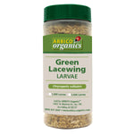 Green Lacewing Larvae - 1,000  in 16 oz Bottle - LWB