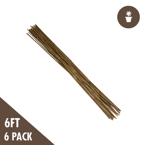 6' Natural Bamboo Stakes Heavy Duty (6-pack)