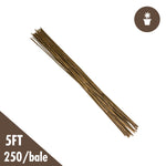 5' Natural Bamboo Stakes Bulk (250/bale)