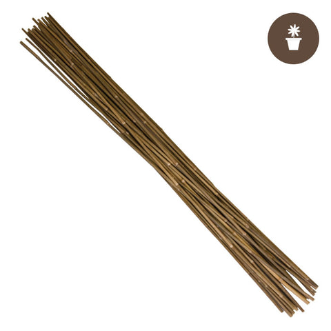 6' Natural Bamboo Stakes Bulk (250/bale)