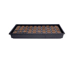 Q Plug 40/40 - 50 CT GROW KIT - Case of 12