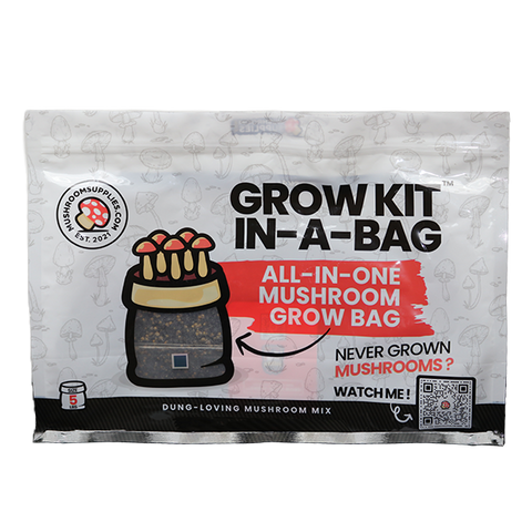 MushroomSupplies Grow Kit In-A-Bag - 5 LB