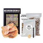 North Spore Organic Chicken of the Woods Mushroom Outdoor Log Kit - Case of 6