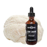 North Spore Lion's Mane Mushroom Tincture - 2 oz